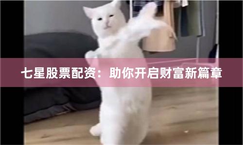 七星股票配资：助你开启财富新篇章