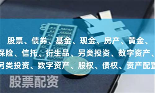 股票、债券、基金、现金、房产、黄金、外汇、大宗商品、保险、信托、衍生品、另类投资、数字资产、股权、债权、资产配置